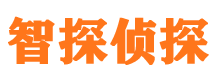 廛河捉小三公司